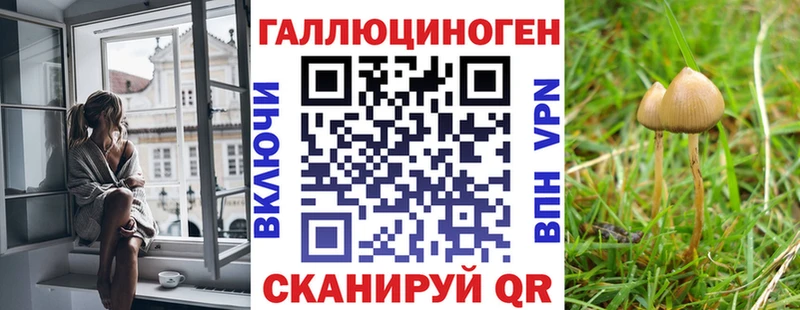 Псилоцибиновые грибы GOLDEN TEACHER  Киренск 